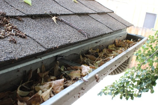 Gutter clean out